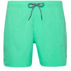 Protest Beachshort " DAVE In Poison Green