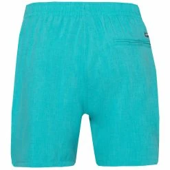 Protest Beachshort " DAVE In Sea Bay 14 Protest Beachshort " DAVE In Sea Bay -protest shop protest beachshort dave in sea bay 4