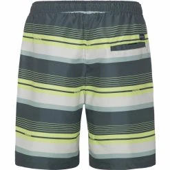 Protest Beachshort " PRTLANKSTON In Huntergreen 13 Protest Beachshort " PRTLANKSTON In Huntergreen -protest shop protest beachshort prtlankston in huntergreen 3