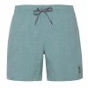Protest Beachshorts " DAVEY In Arcticgreen 1 Protest Beachshorts " DAVEY In Arcticgreen -protest shop protest beachshorts davey in arcticgreen
