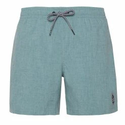 Protest Beachshorts " DAVEY In Arcticgreen