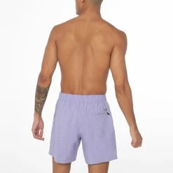 Protest Beachshorts " DAVEY In Lilac 14 Protest Beachshorts " DAVEY In Lilac -protest shop protest beachshorts davey in lilac 3
