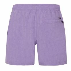 Protest Beachshorts " DAVEY In Lilac 15 Protest Beachshorts " DAVEY In Lilac -protest shop protest beachshorts davey in lilac 4