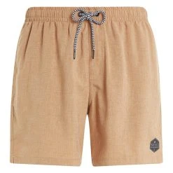 Protest Beachshorts " DAVEY In SealBeige