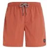 Protest Beachshorts " FASTER In Clay -protest shop protest beachshorts faster in clay