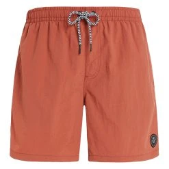 Protest Beachshorts " FASTER In Clay