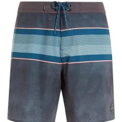 Protest Beachshorts " PRTASPRI In Deep Grey