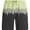 Protest Beachshorts " PRTCAGNES In AlgaeGreen 1 Protest Beachshorts " PRTCAGNES In AlgaeGreen -protest shop protest beachshorts prtcagnes in algaegreen