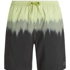 Protest Beachshorts " PRTCAGNES In AlgaeGreen