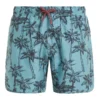 Protest Beachshorts " PRTFAAS JR In Arcticgreen 2 Protest Beachshorts " PRTFAAS JR In Arcticgreen -protest shop protest beachshorts prtfaas jr in arcticgreen