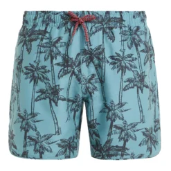 Protest Beachshorts " PRTFAAS JR In Arcticgreen