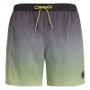 Protest Beachshorts " PRTKRABI In AlgaeGreen -protest shop protest beachshorts prtkrabi in algaegreen