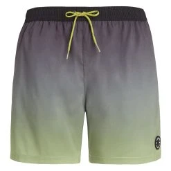 Protest Beachshorts " PRTKRABI In AlgaeGreen