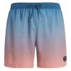 Protest Beachshorts " PRTKRABI In ShellPeach 2 Protest Beachshorts " PRTKRABI In ShellPeach -protest shop protest beachshorts prtkrabi in shellpeach