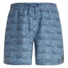Protest Beachshorts " PRTTERTON In River Blue 2 Protest Beachshorts " PRTTERTON In River Blue -protest shop protest beachshorts prtterton in river blue