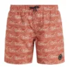 Protest Beachshorts " PRTVISTA JR In Clay 2 Protest Beachshorts " PRTVISTA JR In Clay -protest shop protest beachshorts prtvista jr in clay