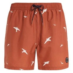 Protest Beachshorts " PRTZINZU In Clay