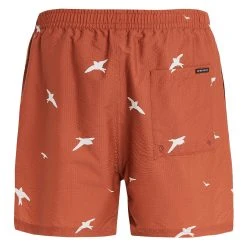 Protest Beachshorts " PRTZINZU In Clay 13 Protest Beachshorts " PRTZINZU In Clay -protest shop protest beachshorts prtzinzu in clay 4