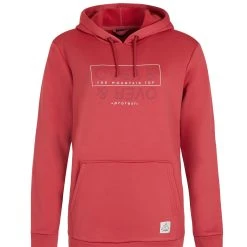 Protest Hoodie " PRTTWIG In Rusticrust