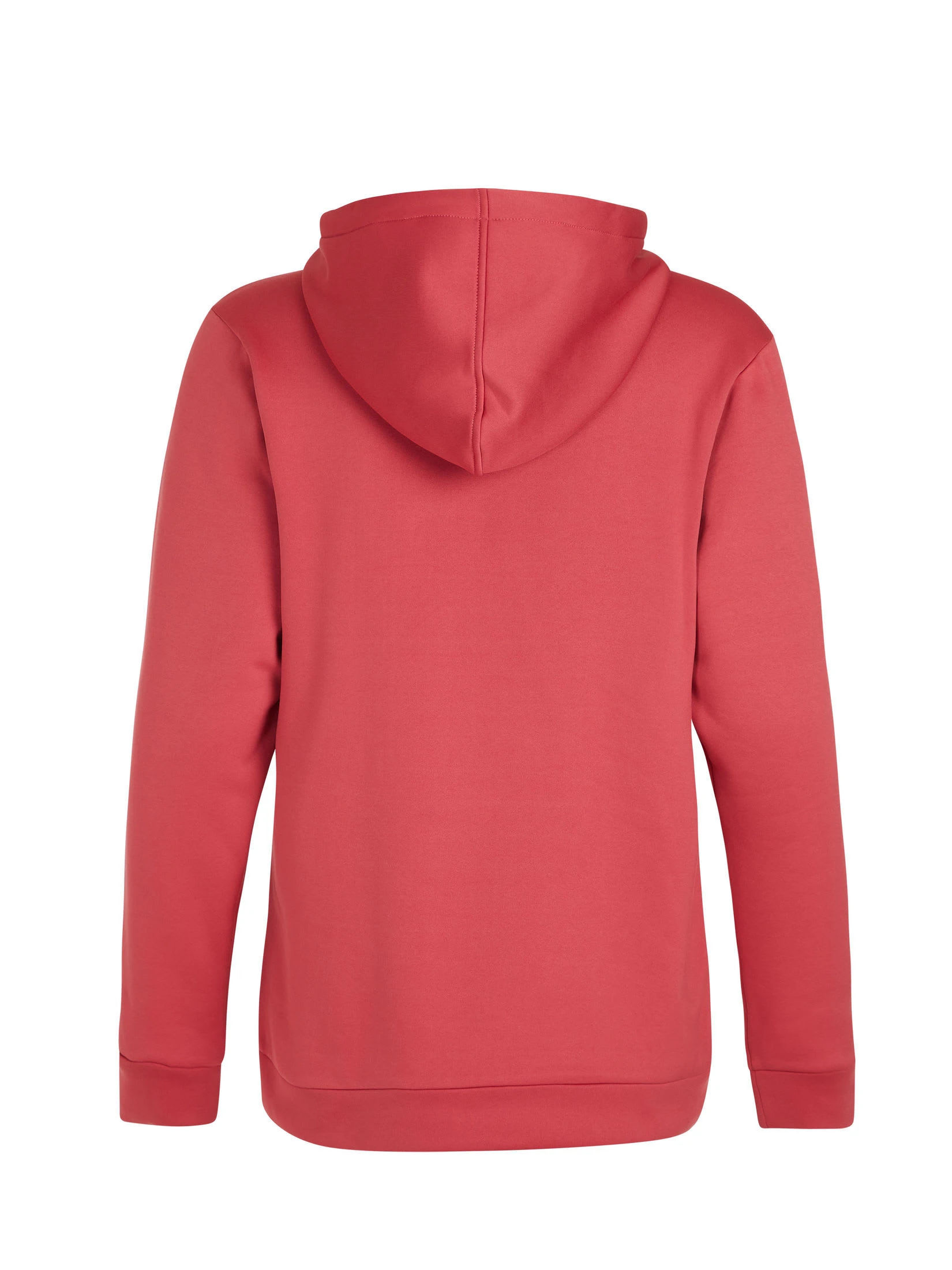 Protest Hoodie " PRTTWIG In Rusticrust 6 Protest Hoodie " PRTTWIG In Rusticrust – Bild 4