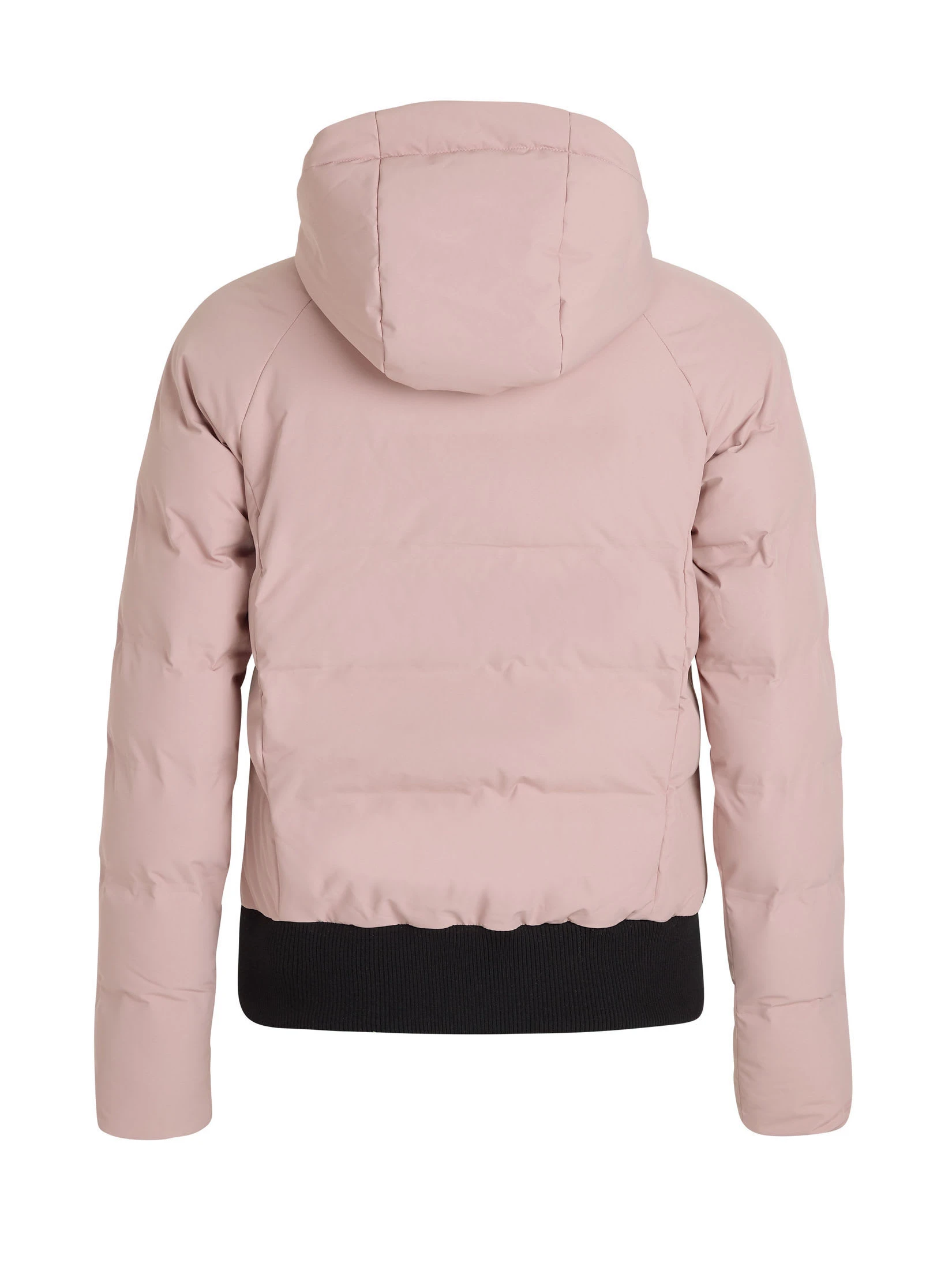 Protest " PRTALYSSUM In Mauve 6 Protest " PRTALYSSUM In Mauve – Bild 4