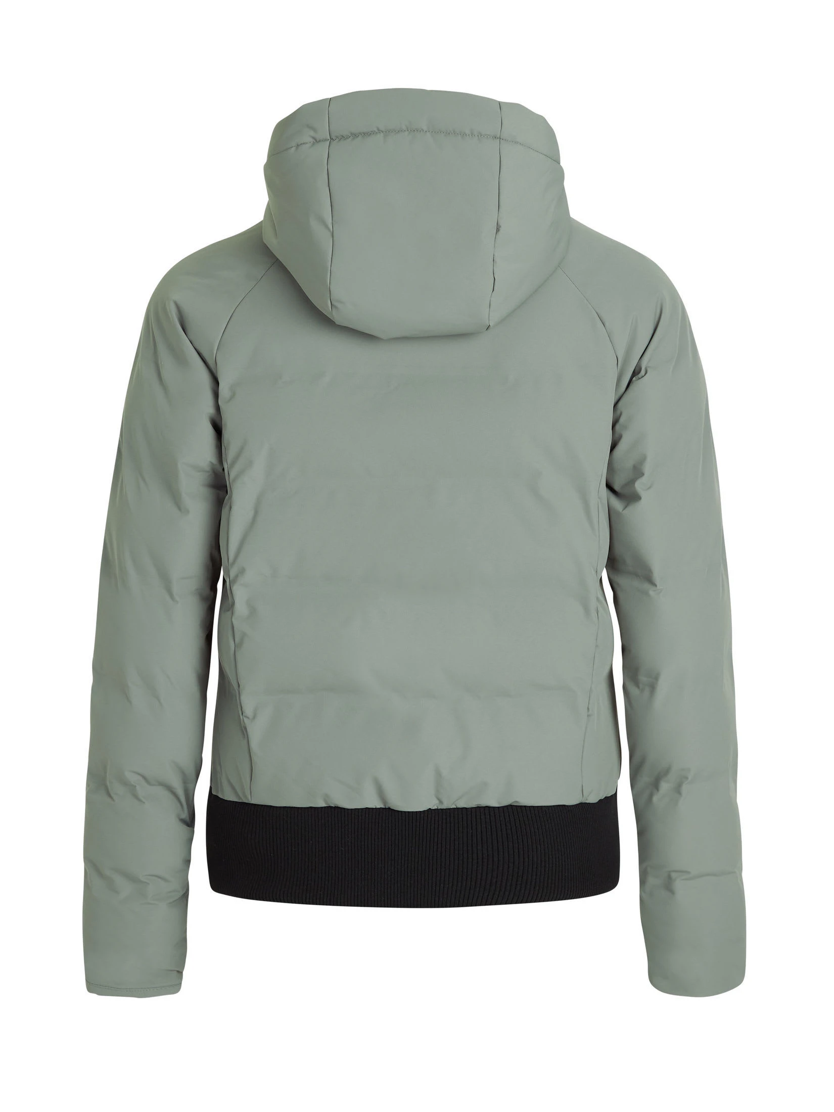 Protest " PRTALYSSUM In Mistygreen 6 Protest " PRTALYSSUM In Mistygreen – Bild 4