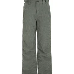 Protest Skihose " PRTDAYSI JR In Mistygreen