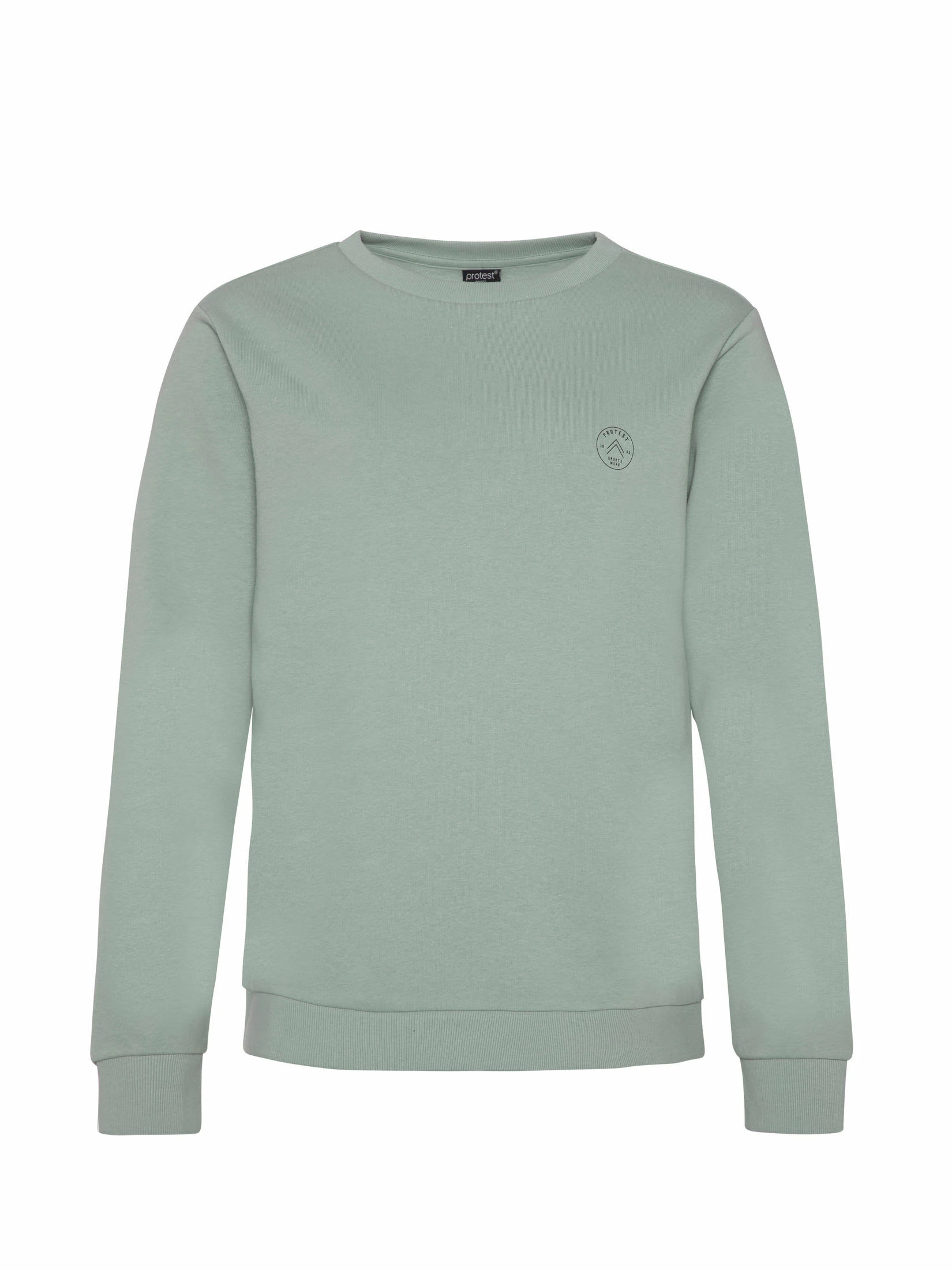 Protest Sweatshirt " PRTMAHIA In Green Baygreen 3 Protest Sweatshirt " PRTMAHIA In Green Baygreen