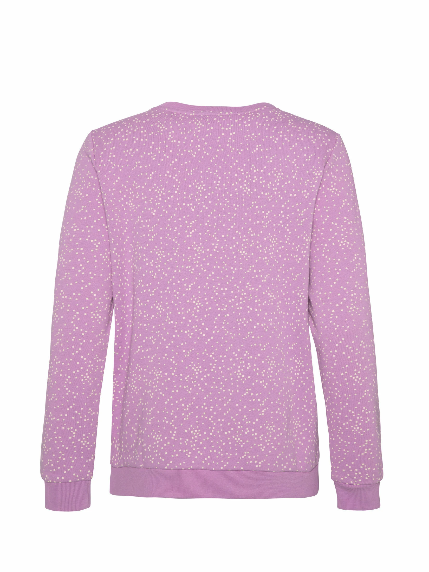 Protest Sweatshirt " PRTXUNO In Bellalilac 7 Protest Sweatshirt " PRTXUNO In Bellalilac – Bild 5